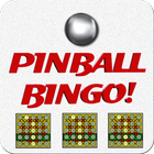 Pinball Bingo Zeichen