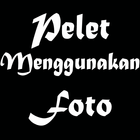 Pelet Foto icon