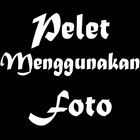 Pelet Foto icono