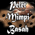 Pelet Mimpi Basah biểu tượng