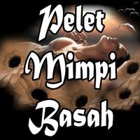 Pelet Mimpi Basah ポスター