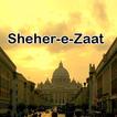 Sheher e Zaat urdu novel Umera