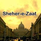 Sheher e Zaat urdu novel Umera icône