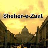 Sheher e Zaat urdu novel Umera icône