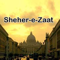 Sheher e Zaat urdu novel Umera 海報