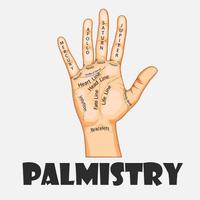 Palmistry in Urdu Islamic Book plakat