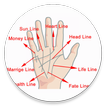 Learn Palmistry in Urdu Book