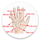 Learn Palmistry in Urdu Book icon