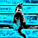 Cat Slave icon