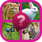 Guess The Animals Quiz 图标