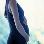 دليل الحمل و الولادة