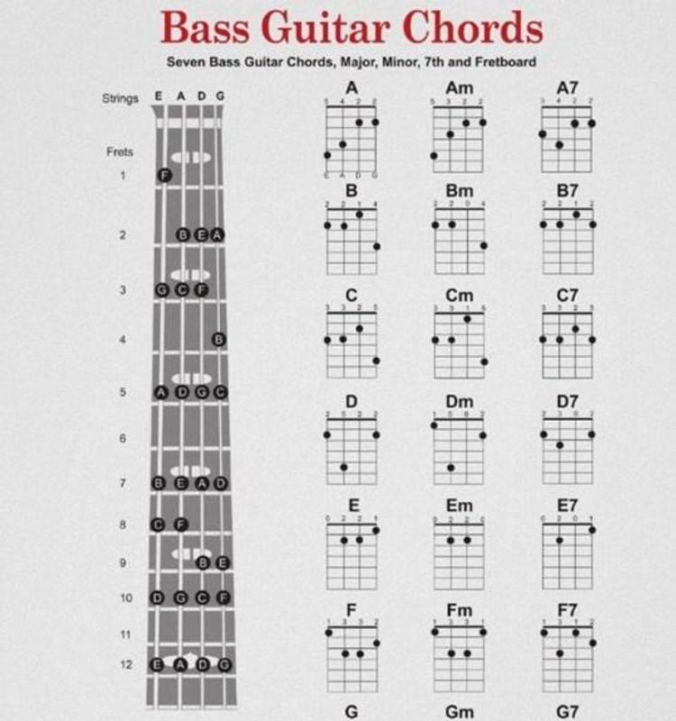 Bass Guitar Chords for Android - APK Download