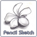 Sketch Pencil Art Picture APK