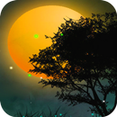 Vivre nature APK