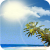 Weather Live Wallpaper APK