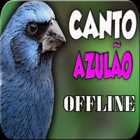 CANTO DO PÁSSARO AZULÃO Affiche