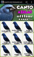 CANTO DO PÁSSARO AZULÃO ảnh chụp màn hình 1
