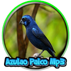 Azulao Palco Mp3 icône