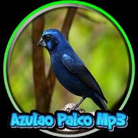 Azulao Palco Mp3 Ekran Görüntüsü 1