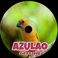 Femea de azulao com macho 海报