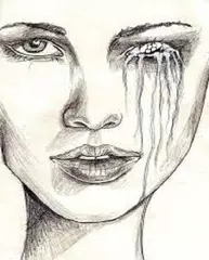 Magnificent Drawing Drawings APK download