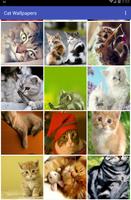 Cat Wallpapers captura de pantalla 1