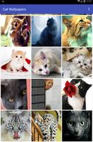 Cat Wallpapers captura de pantalla 2