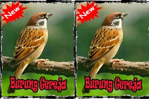 Burung Gereja Terbaik Mp3 ภาพหน้าจอ 1