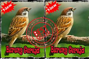 Burung Gereja Terbaik Mp3 스크린샷 2