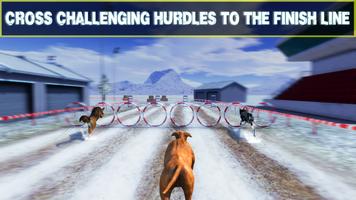 Crazy Greyhound Racing 2018 - Wild Dog Racing Game imagem de tela 1