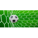 Carioca Futebol APK