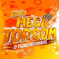 Rádio Mega Top Som تصوير الشاشة 1