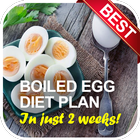 Boiled Egg Diet Secret Plan icône