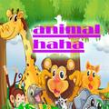 animal crazy