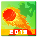 World Cup Cricket - 2015 icône