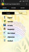 World Cup Cricket - 2015 poster