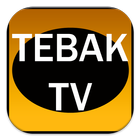 Kuis Tebak TV Indonesia иконка