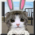 ChoCho Cat