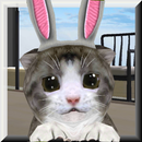 ChoCho Cat APK