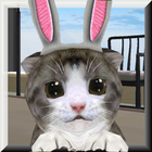 ChoCho Cat icon