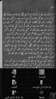 3 Schermata Aabe Hayaat (Urdu Book )