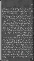2 Schermata Aabe Hayaat (Urdu Book )