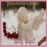 Sweet Good Night!!!!