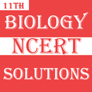 Class 11 Biology NCERT Solutions APK