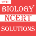 Class 12 Biology NCERT Solns