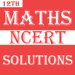 Class 12 Maths NCERT Solutions