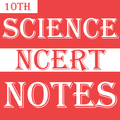 Class 10 Science Notes