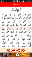 Punjabi Poetry of Hazrat Khwaj imagem de tela 1