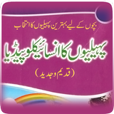 Encyclopedia of Riddles (Urdu  圖標