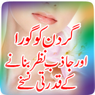 Neck Care Urdu Tips ikona